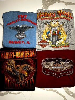 Harley-Davidson LOT Vintage Graphic Tee Set - Blue, Gray, Black, Burgundy